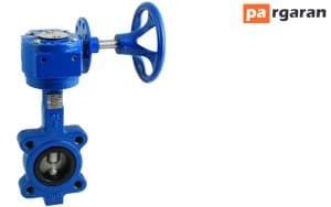 Butterfly Valve with Gearbox