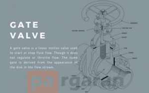 Globe Valve