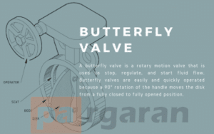 Check Valve